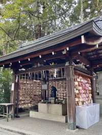 日本京都最可愛的兔子神社-東天王岡崎神社