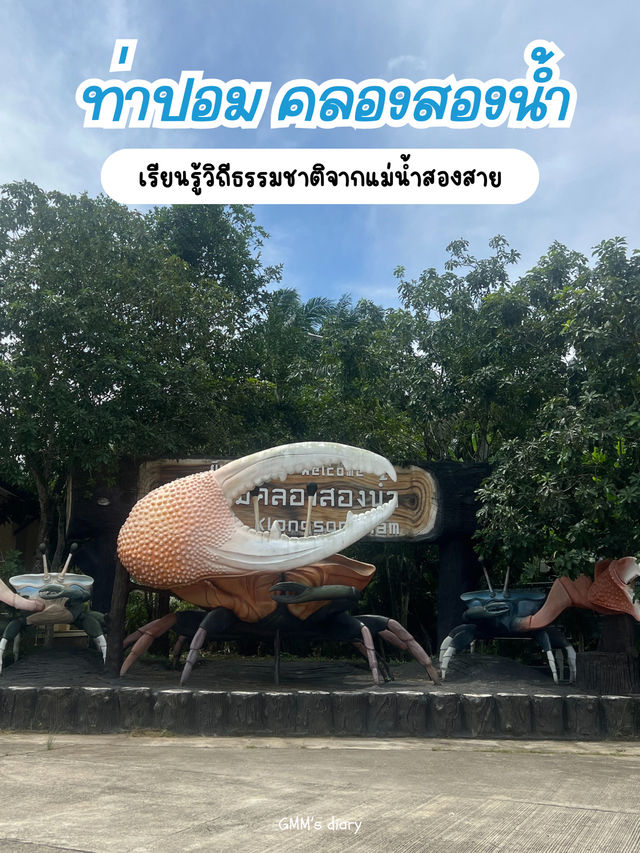 เที่ยวป่าพรุท่าปอม เรียนรู้วิถีชุมชนคลองสองน้ำ 
