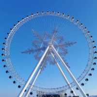 ( 2024-2025). 26th Harbin Ice and Snow World  