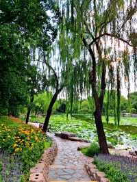 Fun Day at Zizhuyuan Park