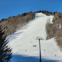 札幌國際滑雪場：冬季運動的夢幻之地⛷️❄️🏔️