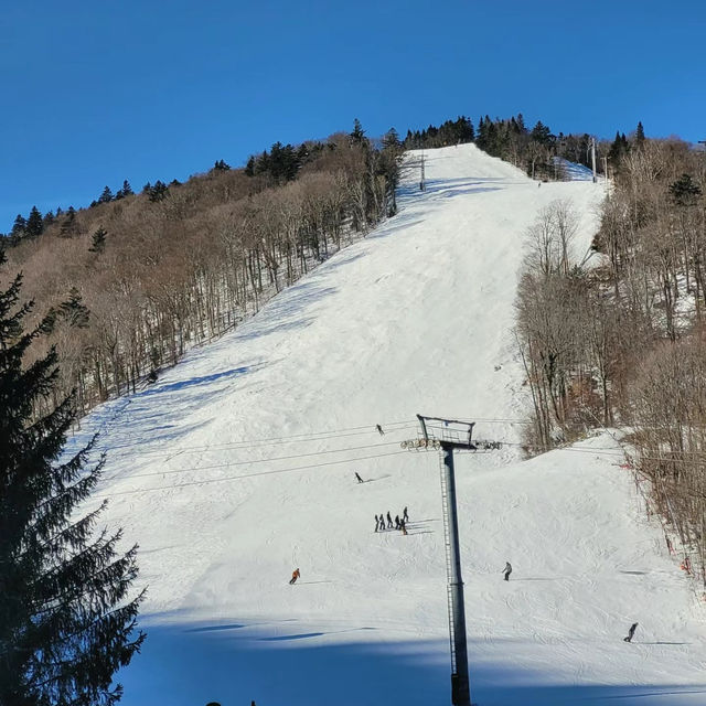 札幌國際滑雪場：冬季運動的夢幻之地⛷️❄️🏔️