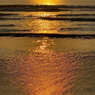 Da Nang: City of love 