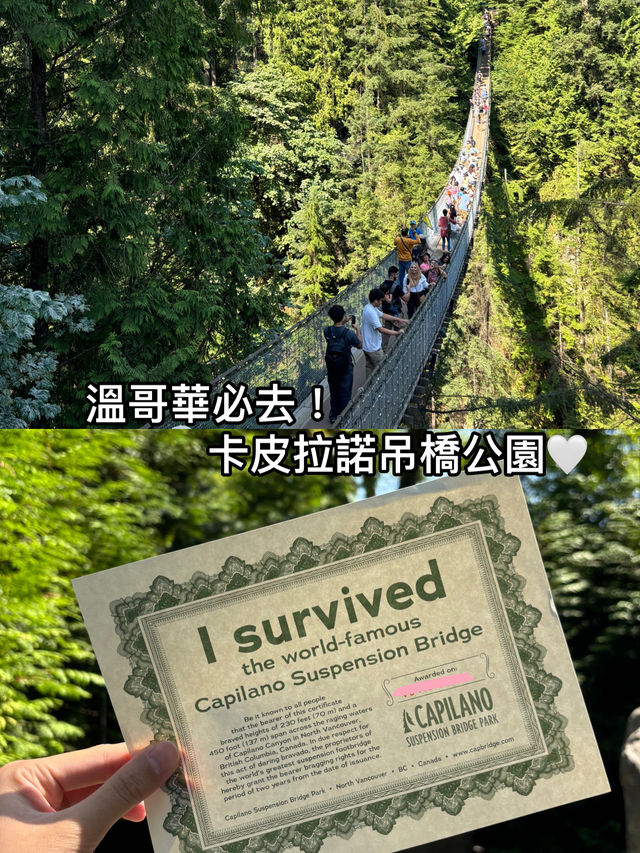 溫哥華必去景點—卡皮拉諾吊橋公園🤍🌉