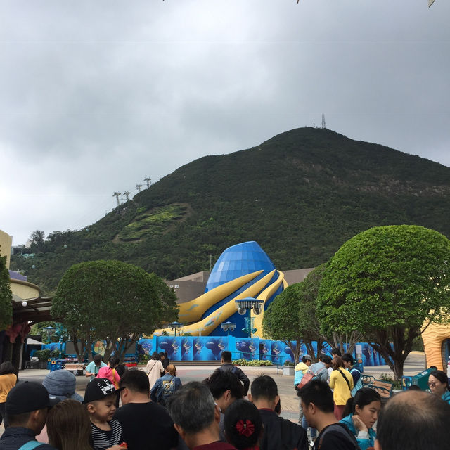 Ocean Park Hong Kong: Where Thrills Meet Marine Magic