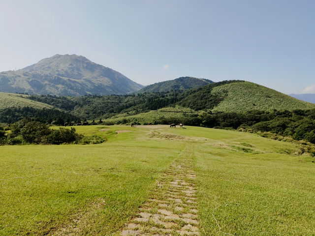 Yangmingshan National Park 