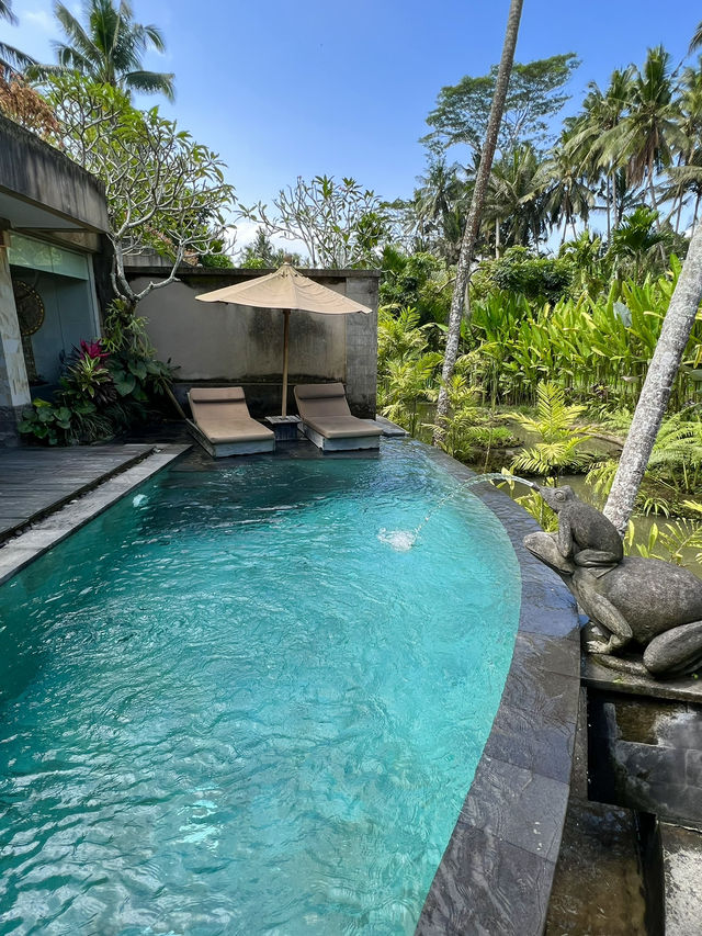 Romantic Private Pool Villa in Ubud🌴🩵