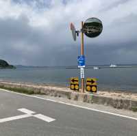 豊島美術館