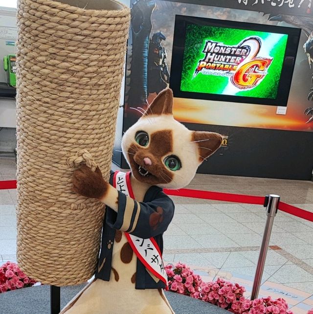 異色のカレーうどんが食べられる街を知っているだろうか？？