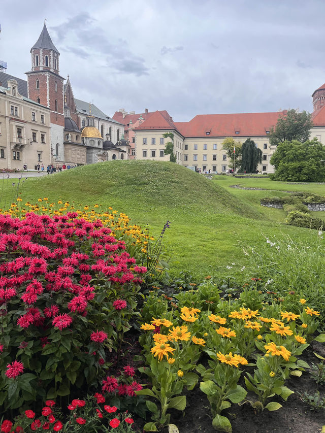 波蘭最耀眼的皇家瑰寶👑⛳️🇵🇱