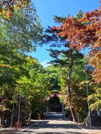 【遠軽神社:北海道遠軽町】紅葉が美しい静かな神社⛩️