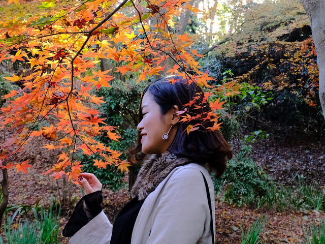 橫濱必去紅葉景點🍁✨三溪園絕美風光