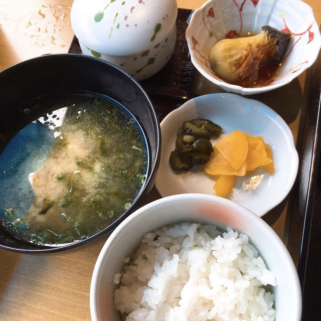 【佐伯】クリーミーな濃厚岩牡蠣！圧巻の岩牡蠣三昧✨