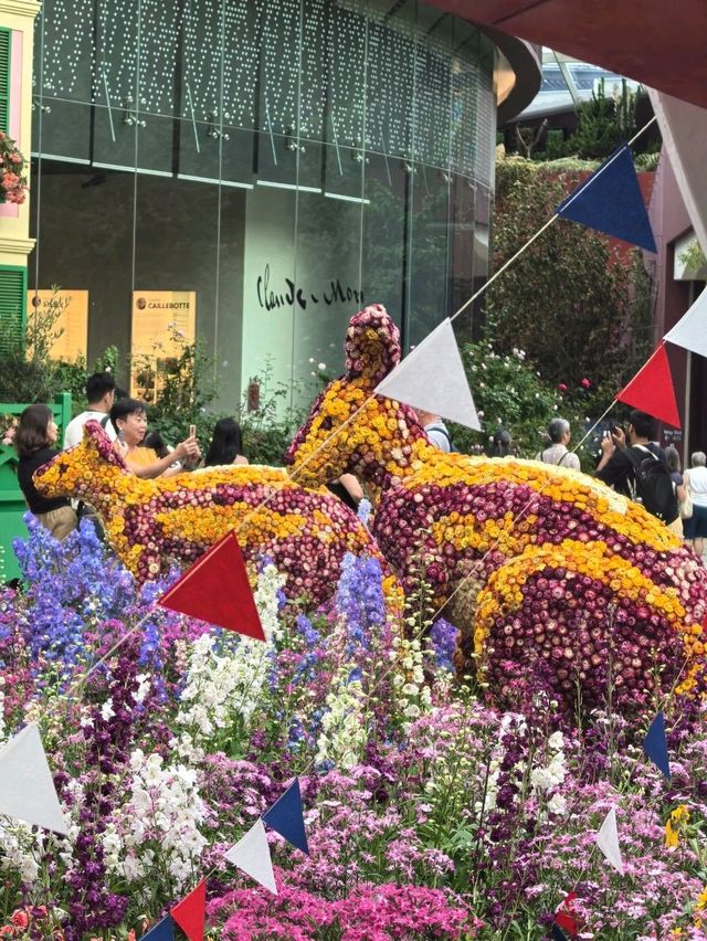 Australian Carnival of Flowers at Flower Dome