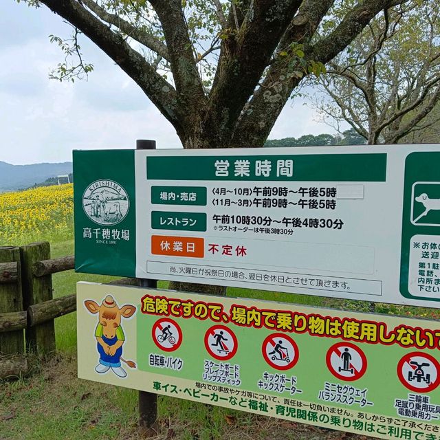 高千穗牧場游記