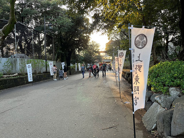 東京景點｜上野公園：櫻花之約