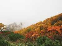 北海道-道東自駕遊