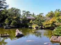 【神奈川県】皇族ゆかりの海浜公園『葉山しおさい公園』 