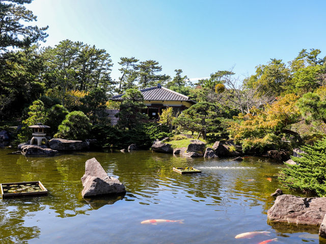 【神奈川県】皇族ゆかりの海浜公園『葉山しおさい公園』 