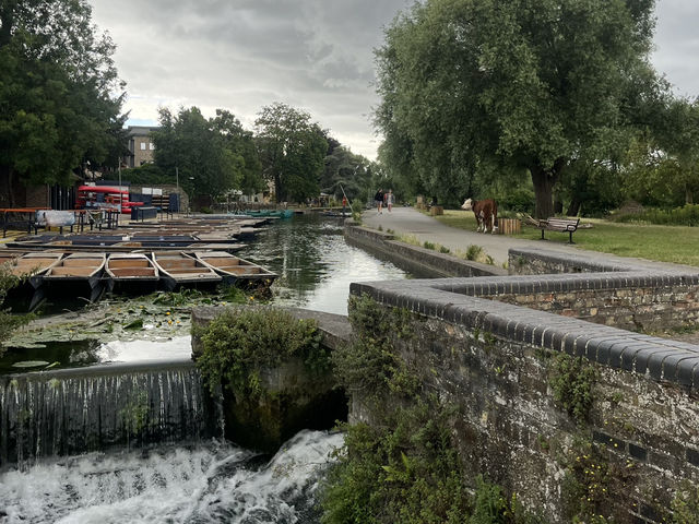 Punting Through the Knowledge Town: Discovering Cambridge’s Charm