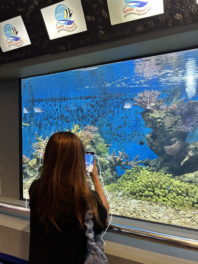 จุดถ่ายรูปสุดฮิตที่ Rayong Aquarium 🦈