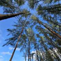 Kamila Resort and Villas Khaolak : Stay with Happiness