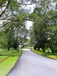Festive Joy at Deepavali Istana Open House 