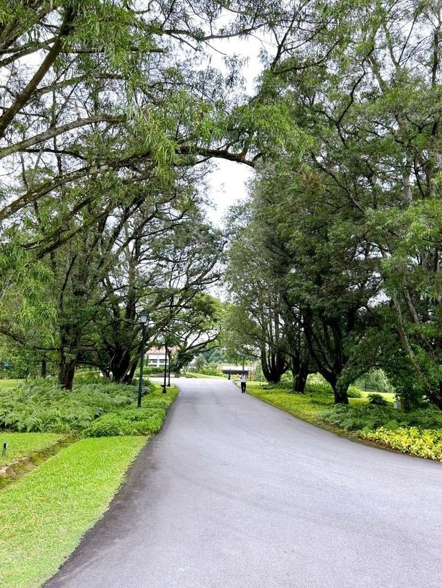 Festive Joy at Deepavali Istana Open House 