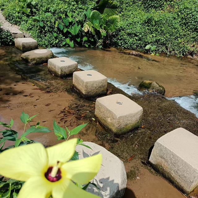 桂河碧道：綠油油的自然🌿🌊