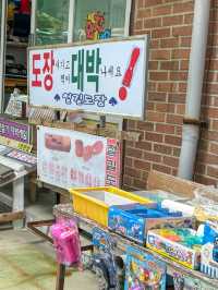 추억을 떠올리게 하는 관광지