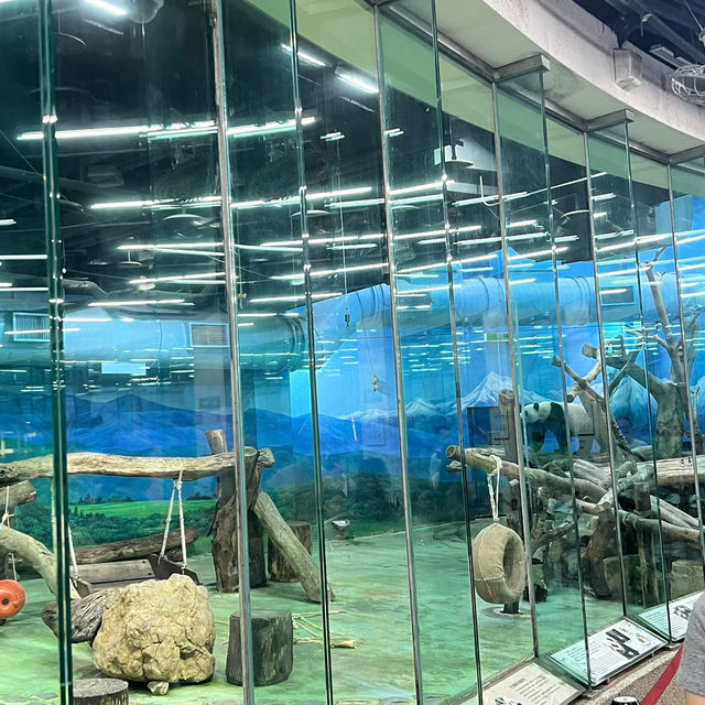 【台北動物園】 台北市立動物園😎