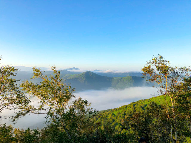 【北海道】雲海が創り出す絶景☁️✨トマムの雲海テラス