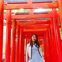 ツツジと千本鳥居が有名！根津神社⛩