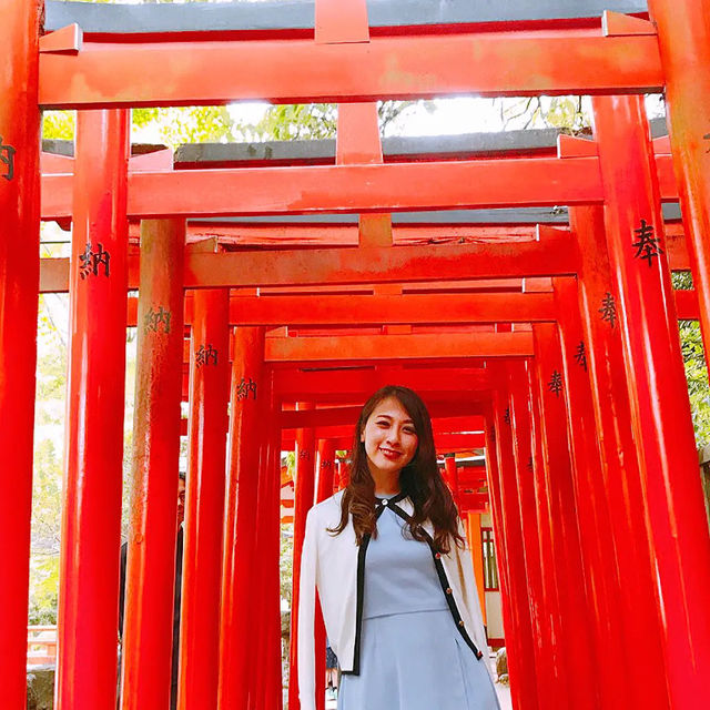 ツツジと千本鳥居が有名！根津神社⛩