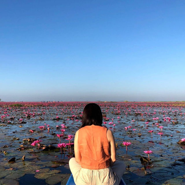 ล่องเรือดูบัวบาน 🪷 