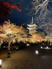 【京都東寺】境内の紅葉ライトアップ🍁と夜間特別公開
