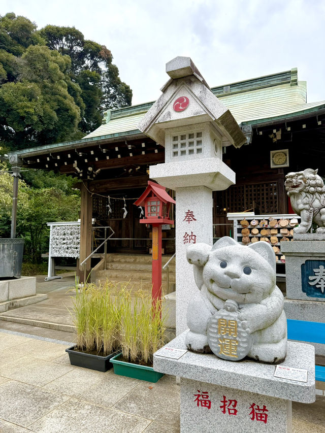 【埼玉県】福招猫とおみくじが必見！