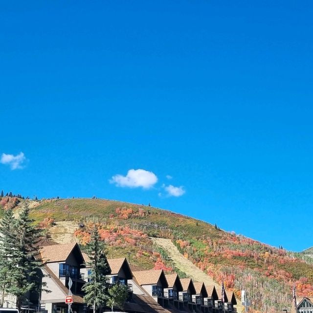 红黄绿的季节@Park City, Utah