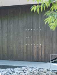 【大分】アート好きじゃなくても楽しめる🎨隈研吾氏建設のアートミュージアム🏛️ 
