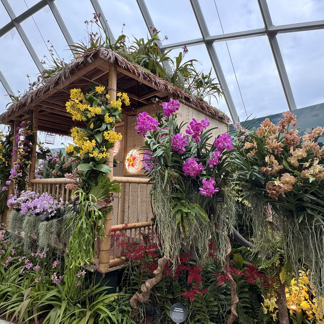 Nature's Palette: Discovering the Latest Blooms at Gardens by the Bay