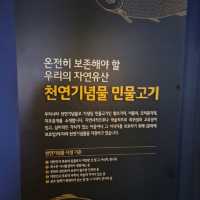 🌍 자연 생태를 배울 수 있는 교육적이고 평온한 공간 화담숲자연생태관🌍