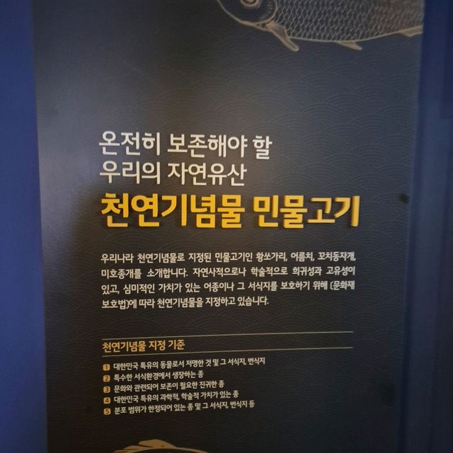 🌍 자연 생태를 배울 수 있는 교육적이고 평온한 공간 화담숲자연생태관🌍