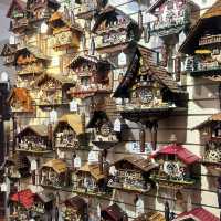 “Exploring Germany’s Black Forest: Nature’s Enchanted Wonderland”