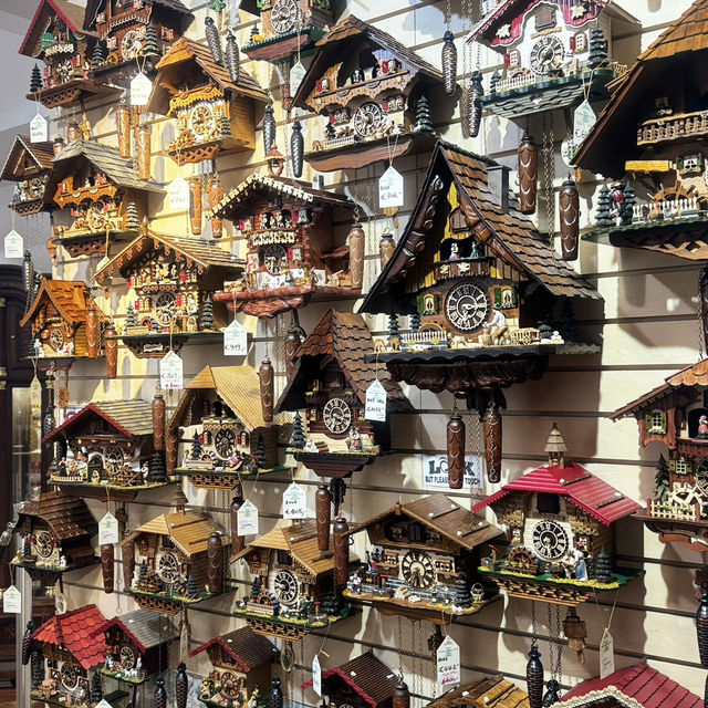 “Exploring Germany’s Black Forest: Nature’s Enchanted Wonderland”