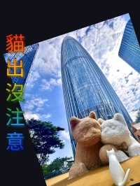 又來了！深圳灣萬象城Bay de Luna巨型貓咪展