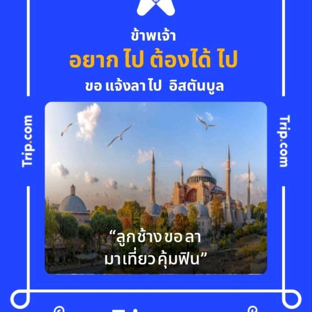 เดินป่าชมหินมหัศจรรย์ หินช้างสี