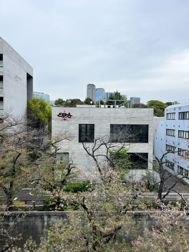 일본 도쿄🇯🇵 스타벅스 리저브 로스터리 도쿄