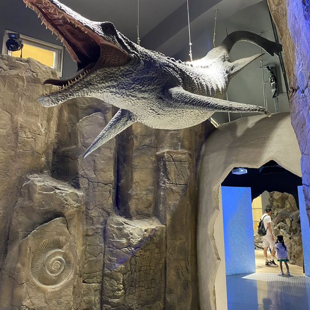 澎湖也能看恐龍🦖🦕！？ 小門地質探索館門票只要30元