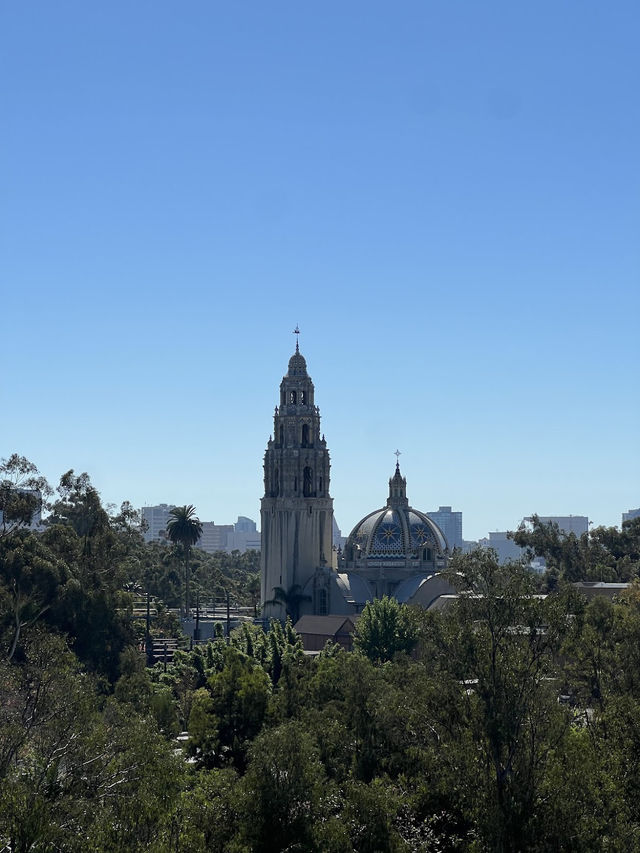 🐻미국 최고의 여행지 샌디에고 동물원 San diego zoo🐒