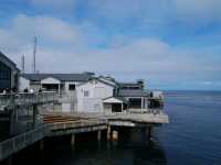 Monterey Bay Aquarium สหรัฐอเมริกา